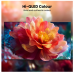 65Q6SAU Hisense 65 INCH Q6SAU 4K Hi-QLED Smart TV (2026)